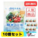 【10個セット】大高酵素 酵素のど飴 塩味 80g/大酵素飲料と、こだわりの自然塩を配合 ファスティングや夏場の塩分補給に/送料無料 ギフトセット/お年賀 初売...