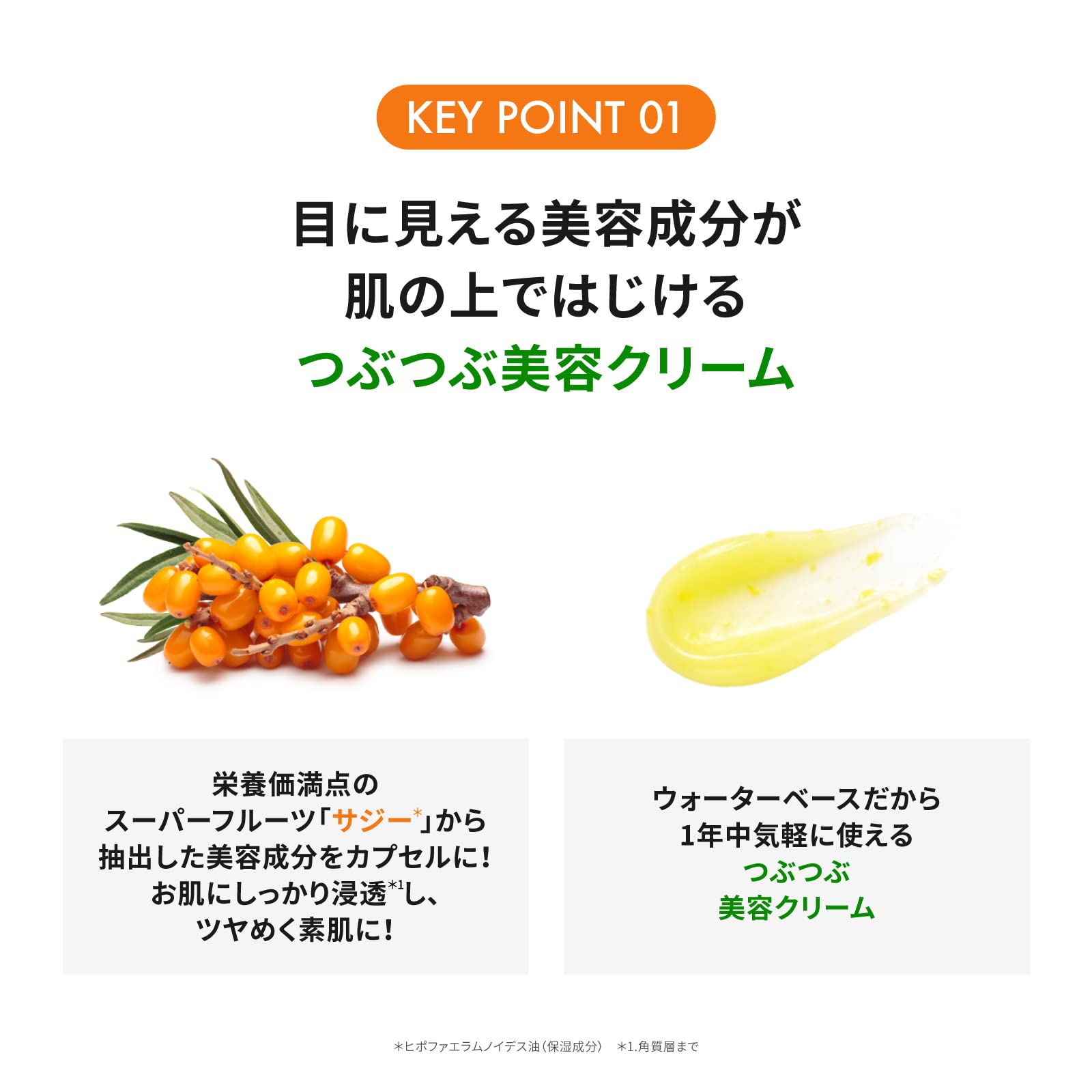 ���㤤ʪ�ޥ饽��������ʥݥ����10�ܡ� �ͥ����㡼��ѥ֥�å� �ӥ��ڥ�C���꡼�� 50g/side5�Х�󥿥���/�ۥ磻�ȥǡ�