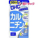 DHCカルニチン20日100粒(4)