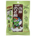 カイゲン 改源のど飴 70g