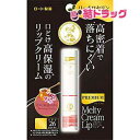メンソレータム プレミアムメルティクリームリップ 花咲く蜂蜜の香り(4)