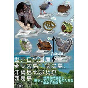 【沖縄県産品】【在庫限り】世界自然遺産 アクリルスタンドフィギュア 全8種 ガチャ ネイチャーテクニカラー/レターパック発送