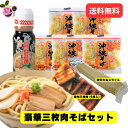 【20日開始★エントリーでP10倍】 豪華三枚肉そばセット