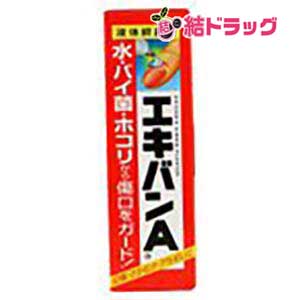 【第3類医薬品】エキバンA 10g