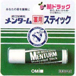 メンターム 薬用スティック レギュラー4g