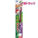生葉45°磨きブラシコンパクトふつう1本