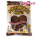 沖縄製粉 サーターアンダギーミックス ココア味×10袋