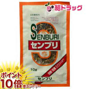 ���㤤ʪ�ޥ饽�������ȥ꡼��P10�� ����3������ʡۻ��ܴ��� ���������� ����֥�(10g)�ڻ��ܴ�����