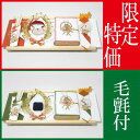 お買い得 結納セット 結納 略式 結納品 同時交換 結納金と指輪 若葉 同時交換セット(熨斗・末広付) 毛氈 (赤)(青)付 送料無料 結納 結納セット .結納品. 顔合わせ 顔合わせ食事会