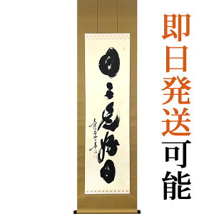 掛軸 掛け軸 茶掛け 日々是好日 小林太玄 尺五立 約横55cm×縦190cm【送料無料】p9742 茶道 お茶席 お茶会 禅語 墨跡 禅林墨跡 禅宗 来客 贈答 贈り物