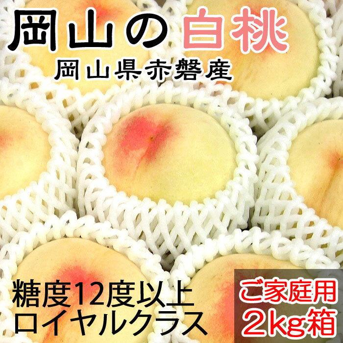 岡山の白桃 約2kg箱 ご家庭用 (訳あり) 約6～8玉 ロイヤルクラス 糖度12度以上! 《おかやま特選市場》　【代引不可】【返品交換不可】 フルーツ 果物 高級桃 岡山県産 赤磐産 ご自宅用