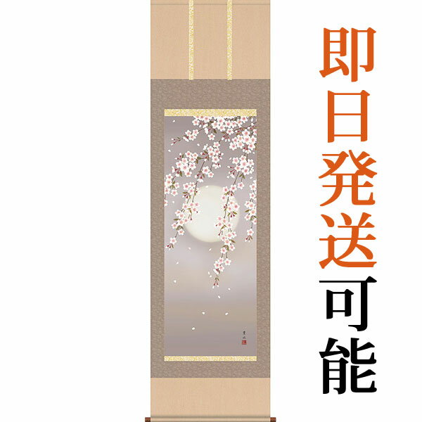 掛軸 掛け軸 春用 夜桜 緒方葉水 尺五立 約横54.5cm×縦190cm【送料無料】 b303-20【第20集】 春 春掛 春掛け 花鳥 サクラ 和室 和 床の間 和風 お祝い 御祝 贈答 贈り物