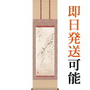 掛軸 掛け軸 春用 桜花 西尾香悦 尺三立 約横44.5cm×縦164cm g4148 春 春掛 春掛け 花鳥 サクラ 和室 和 床の間 和風 お祝い 御祝 贈答 贈り物