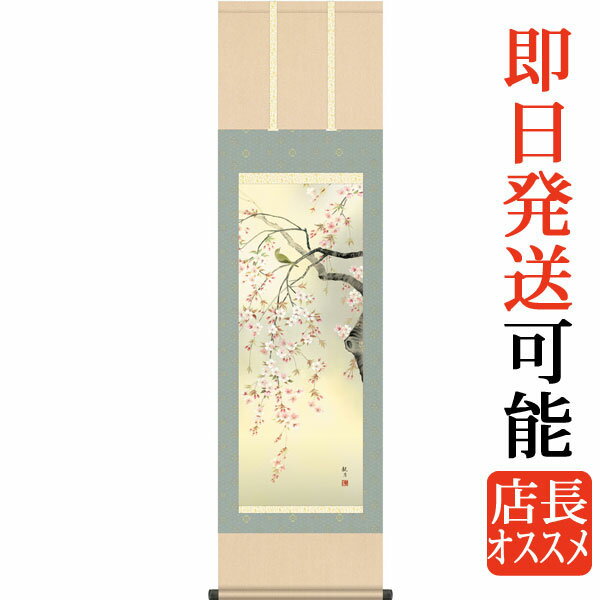 掛軸 掛け軸 春用 桜花 森山観月 尺三立 約横44.5cm×縦164cm g4565 春 春掛 春掛け 花鳥 サクラ 和室 和 床の間 和風 お祝い 御祝 贈答..