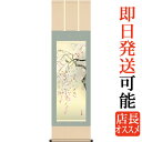 掛軸 掛け軸 春用 桜花 森山観月 尺三立 約横44.5cm×縦164cm g4565 春 春掛 春掛け 花鳥 サクラ 和室 和 床の間 和風 お祝い 御祝 贈答 贈り物