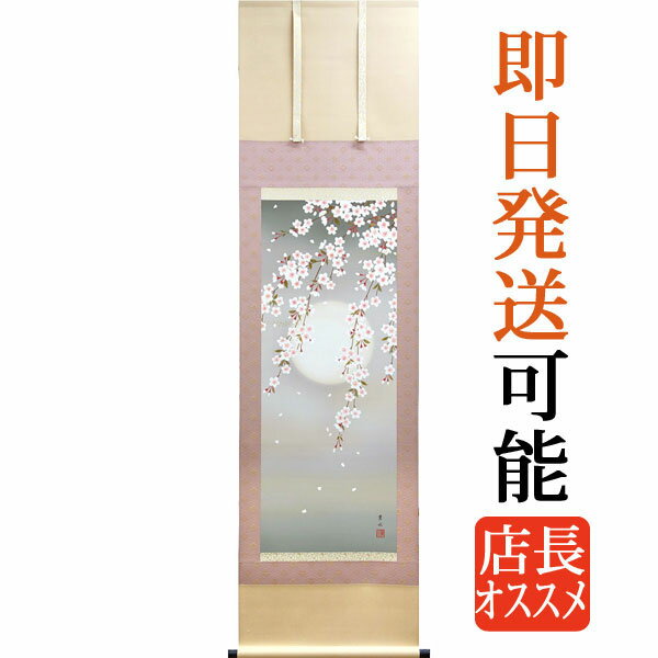 掛軸 掛け軸 春用 夜桜 緒方葉水 尺三立 約横44.5cm 縦164cm g4567 春 春掛 春掛け 花鳥 サクラ 和室 和 床の間 和風 お祝い 御祝 贈答 贈り物