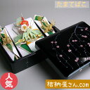 【結納返し】-略式結納品- たまてばこ桜セット(青)