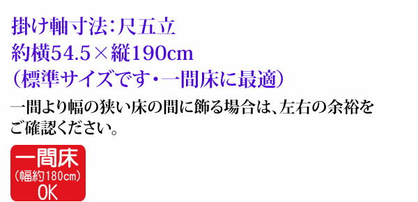 掛軸 掛け軸 十三佛 山村観峰 尺五立 約横54.5×縦190cm【送料無料】d6603 仏画 法事 法要 供養 仏事 仏間 初盆 追善供養 お盆 彼岸 お彼岸 命日 四十九日 初七日 三十三回忌 3