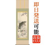 端午の節句掛軸 掛け軸 　大昇鯉　森山観月 【尺五立】約横54.5×縦190cm d5302 端午の節句 初節句 出産 子どもの日 こどもの日 子供の日 鯉 鯉のぼり こいのぼり 昇鯉 登竜門 夫婦鯉 開運 縁起 吉祥 選挙