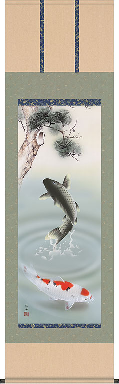 端午の節句掛軸 掛け軸 　松下遊鯉　長江桂舟 【尺五立】約横54.5×縦190cm d5313 端午の節句 初節句 出産 子どもの日 こどもの日 子供の日 鯉 鯉のぼり こいのぼり 昇鯉 登竜門 夫婦鯉 開運 縁起 吉祥 選挙