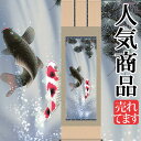 端午の節句掛軸 掛け軸 夫婦滝昇鯉 森山観月 【尺五立】約横54.5×縦190cm d5413 端午の節句 初節句 出産 子どもの日 こどもの日 子供の日 鯉 鯉のぼり こいのぼり 昇鯉 登竜門 夫婦鯉 開運 縁起 吉祥 選挙