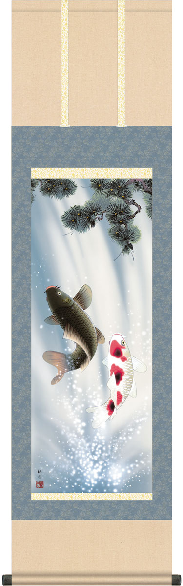 端午の節句掛軸 掛け軸 夫婦滝昇鯉 森山観月 【尺三立】約横44.5×縦164cm g4767 端午の節句 初節句 出産 子どもの日 こどもの日 子供の日 鯉 鯉のぼり こいのぼり 昇鯉 登竜門 夫婦鯉 開運 縁起 吉祥 選挙