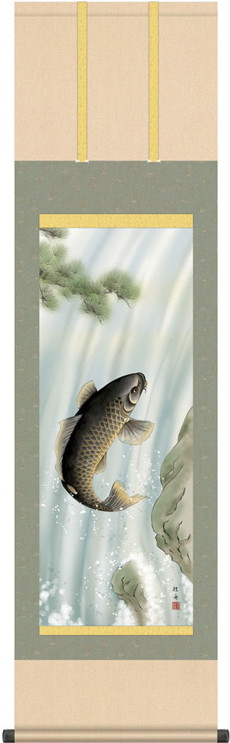 端午の節句掛軸 掛け軸 昇鯉 長江桂舟 【尺三立】約横44.5×縦164cm g6025 KZ3MF4-050 端午の節句 初節句 出産 子どもの日 こどもの日 子供の日 鯉 鯉のぼり こいのぼり 昇鯉 登竜門 夫婦鯉 開運 縁起 吉祥 選挙