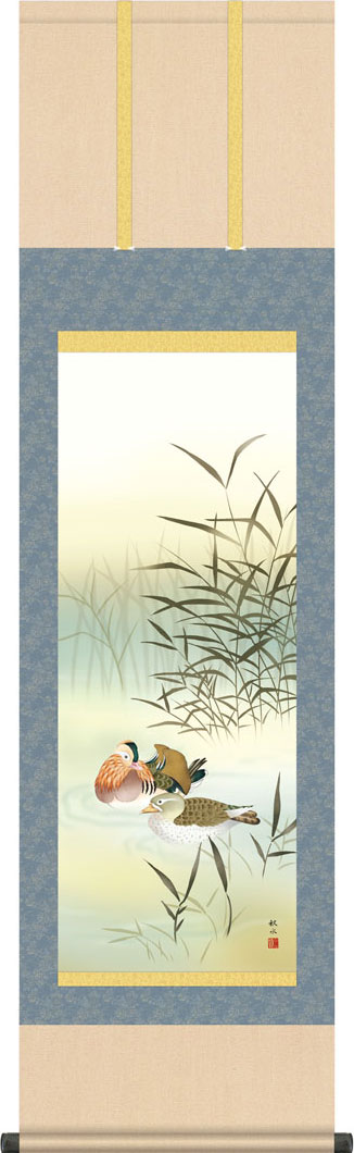 掛軸 掛け軸 冬用 鴛鴦 浮田秋水 尺三立 約横44.5cm×縦164cm g7056 KZ5MA5-055 冬 冬掛 冬掛け 花鳥 おしどり 夫婦円満 縁起 和室 和 床の間 和風 お祝い 御祝 贈答 贈り物 結婚 婚約 結納
