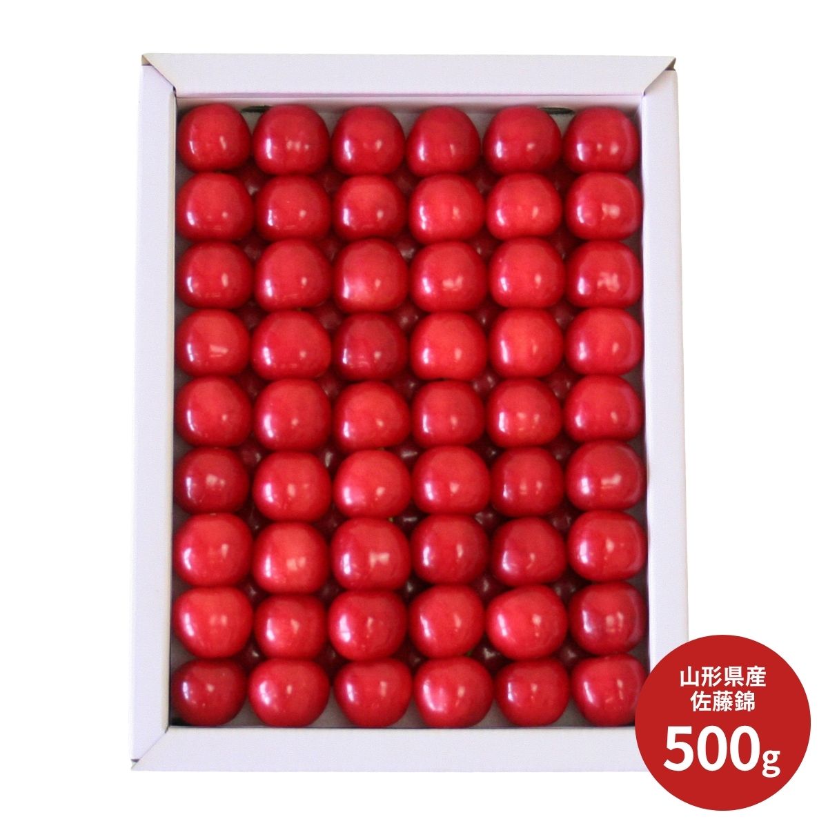 山形県産さくらんぼ佐藤錦500g化粧詰 (6月中旬より順次出荷予定) (承り期間：6月18日まで) お中元 夏ギフト 産地直送 グルメ 食品 ギフト プレゼント 贈り物 2026 フルーツ スイーツ さくらんぼ 山形