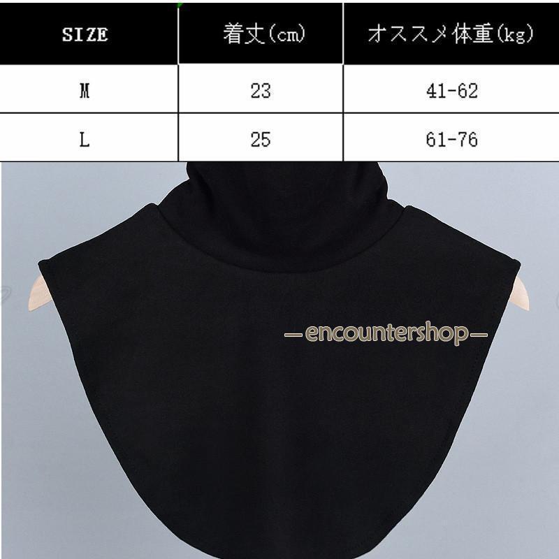 付け襟 つけ襟 レディース タートルネック シャツライク 暖かい　あったか　ファッション小物 きれいめ きちんと 秋 冬 重ね着風 着回し お出かけ