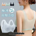冷感ブラ ブラジャー接触冷感 極薄 ノンワイヤー ノンホック ホックなし パッド取り外し可能 大きい シームレス 育乳 脇肉補正 日中兼用