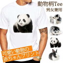 Tシャツ 半袖 男女兼用 プリント 可愛い パンダ ワンチャン うさぎ メンズ 薄手 ねこ 白 レディース