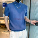 サマーニット メンズ 半袖 モックネック 無地 薄手 トップス デザイン 波編み Tシャツ ゴルフ シャツ キレイめ レイヤード 丸首 夏 ギフト プレゼント ...
