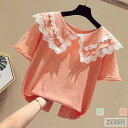 子供 Tシャツ 夏 半袖 女の子 レース襟 半袖Tシャツ おしゃれ 女児 サマーTシャツ コットン 無地 ジュニアTシャツ ガールズ 姫系 カットソー