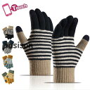 手袋 レディース スマホ タブレット 対応 秋冬 防寒 手ぶくろ おしゃれ かわいい バイカラー 無地 ボーダー