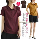 ポロシャツ Tシャツ レディース 半袖 夏服 カットソー トップス 襟付き ストレッチ 無地 秋服 オフィス カジュアル 吸汗速乾 ドライ uvカット