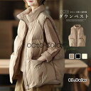 フェイクダウンベスト レディース 40代 ノースリーブ ダウンジャケット 中綿ブルゾン ダブルファスナー ゆったり アウター 秋冬 ライトダウン インナーダウン