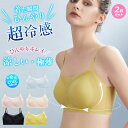 送料無料 高品質 2枚セット 夏用ブラジャー 接触冷感 涼しい ノンワイヤー 軽量 吸汗速乾 ひびきにくい ワイヤレス ムレにくい ベタつきにくい ひんやり シームレス 肌着 大きいサイズ 超薄ブラジャー 薄手ブラジャー ブラジャー ナイトブラ