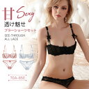 送料無料 総レースブラ 総レース ブラジャー 上下セット セクシー レース 大きいサイズ 下着 レディース ブラセット ワイヤー レースブラ ワイヤーブラ レー...