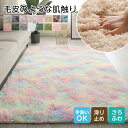 サイズ選べる可 ラグ カーペット 2TYPE 防ダニ ラグマット 高品質 厚手 厚い 高密度 ラグ シャギーラグ ラグマット シャギー 滑り止め カーペット 洗...
