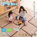サイズ選べる ラグ カーペット 折りたたみ 夏ラグ ラグマット 夏用 ラグマット 冷感ラグ ひんやり 接触冷感 畳の上に敷くもの 上敷き 撥水 畳用 ラグ 消臭...
