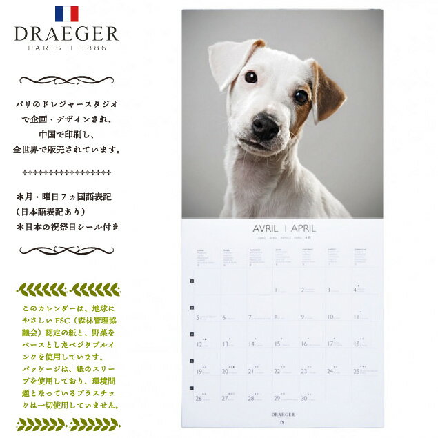 ドレジャー 2021年【ラージカレンダー】DOGS（壁掛けタイプ）犬/動物/かわいい/イラスト/写真/スケジュール/月曜始まり/日本語/英語/フランス製/中国印刷/輸入雑貨（21LC-003）[FSC認証]