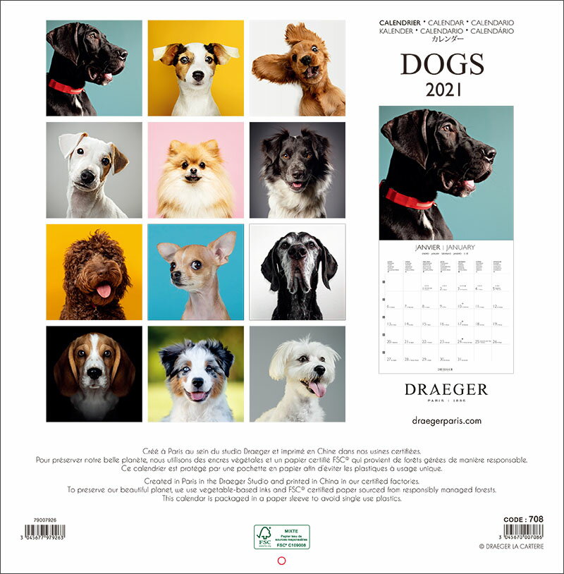 ドレジャー 2021年【ラージカレンダー】DOGS（壁掛けタイプ）犬/動物/かわいい/イラスト/写真/スケジュール/月曜始まり/日本語/英語/フランス製/中国印刷/輸入雑貨（21LC-003）[FSC認証]