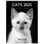 ドレジャー 2025年 スモールカレンダー CATS BLACK & WHITE 壁掛けタイプ 猫 モノクロ スケジュール 写真 日本の祝日シール付き 輸入雑貨 770円