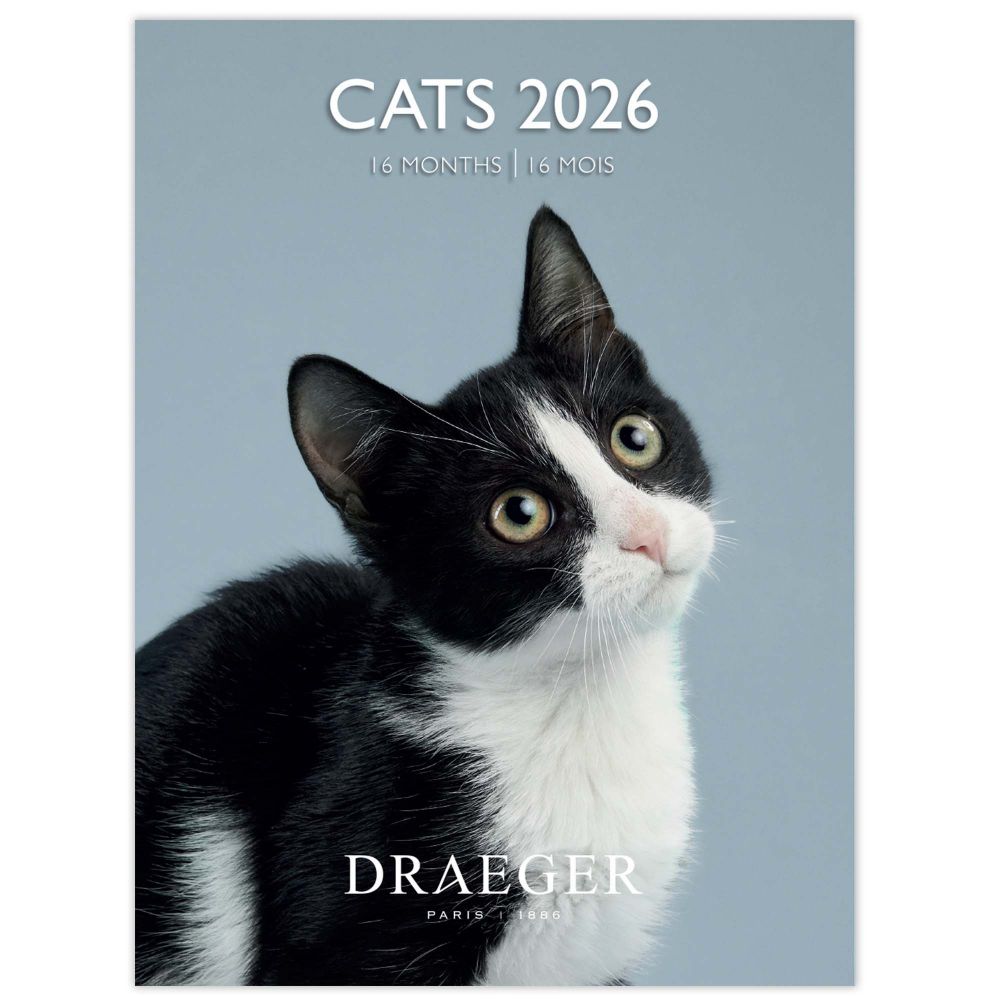 ドレジャー2026年スモールカレン...