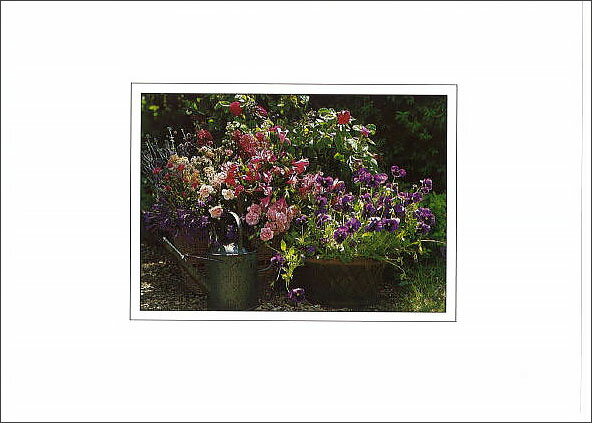 グリーティングカード 多目的 B&Bフラワーシリーズ「パンジーとジョウロ」封筒152×108mm 花柄 メッセージカード 定形サイズ 輸入雑貨(B056)