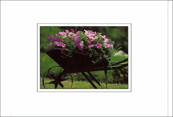 グリーティングカード 多目的 B&Bフラワーシリーズ「手押し車」封筒152×108mm 花柄 メッセージカード 定形サイズ 輸入雑貨(B058)