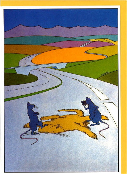 グリーティングカード 多目的 バルタック「ネズミの記念撮影」封筒132×184mm 動物 コミカル イラスト メッセージカード 輸入雑貨(BO3-066)