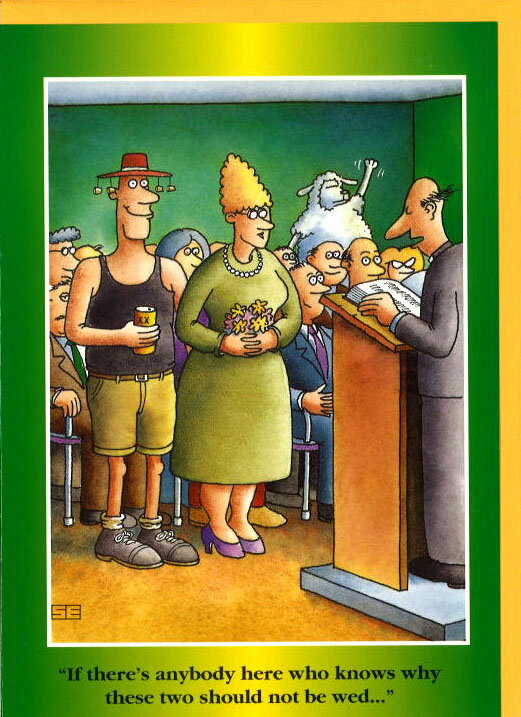 ꡼ƥ󥰥 ¿Ū 饦ɥåɡ֥ȥꥢη뺧 132184mm ߥ 饹 å ͢(CCL-...