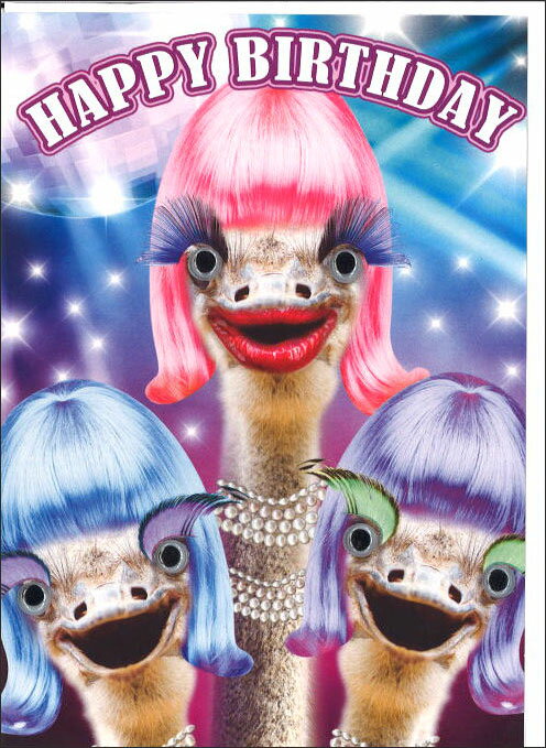 グリーティングカード 誕生日 バースデー ゴグリーズ目玉カード「ダチョウ」 封筒175×125mm 動物 カラー写真 メッセージカード ギフト(H259)